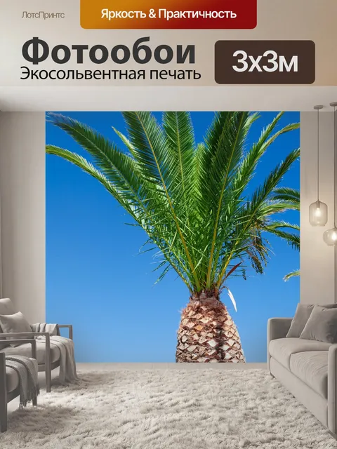 Фотообои пальма
