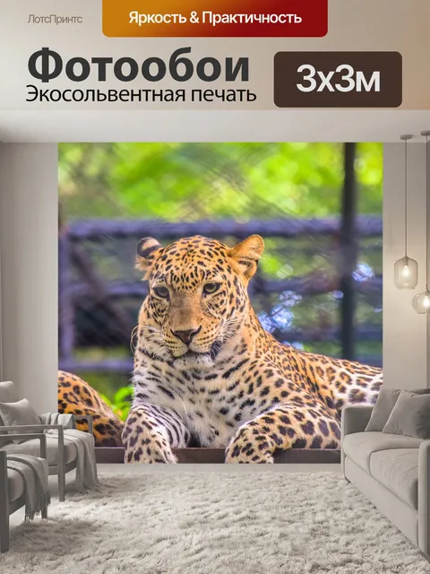 Фотообои Леопард