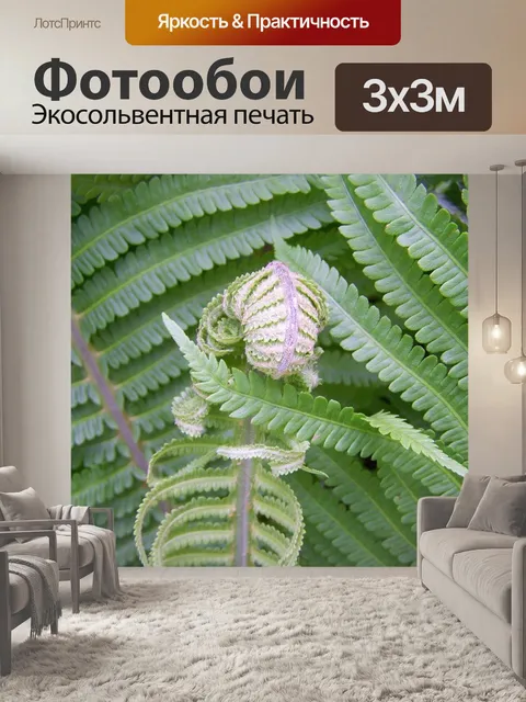 Фотообои Папоротник