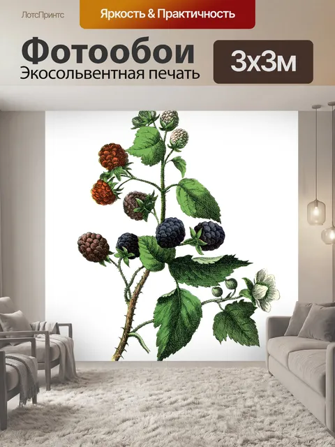Фотообои Ежевика фрукты винтажное искусство