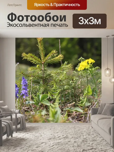 Фотообои Словакия