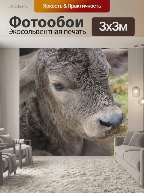 Фотообои Бык
