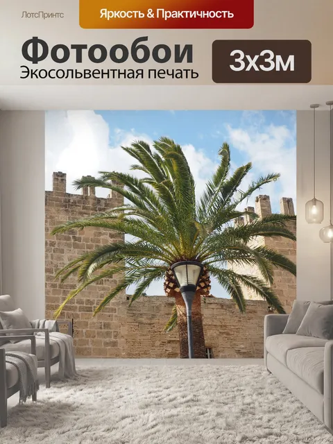 Фотообои Пальма