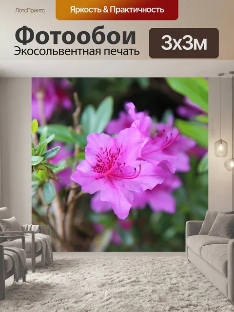 Фотообои Азалия