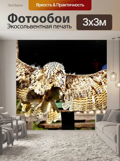 Фотообои Снежная сова