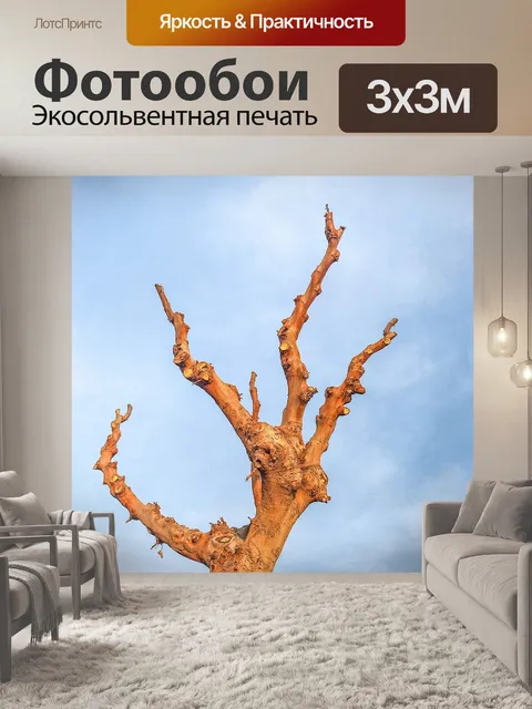 Фотообои Дерево без листьев