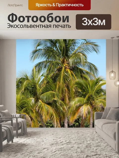 Фотообои Кокосовая пальма