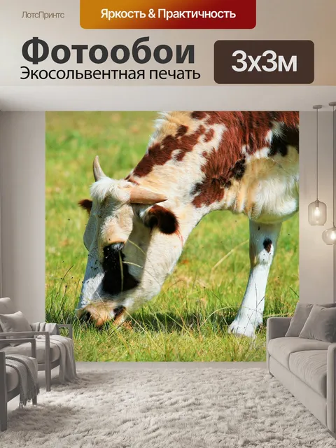 Фотообои Корова