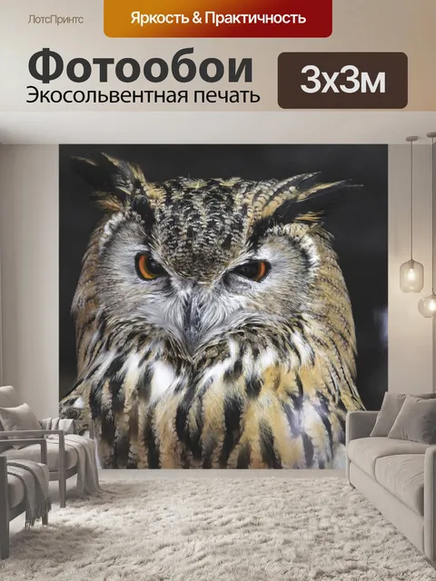 Фотообои Филин