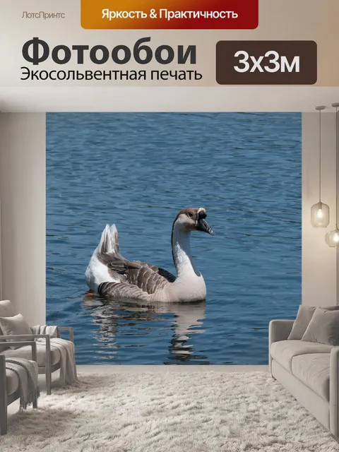 Фотообои Гвинейский гусь