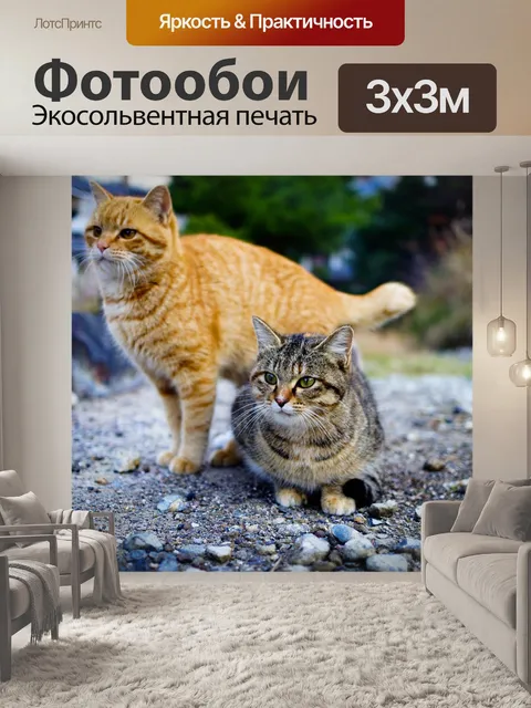 Фотообои Кошка