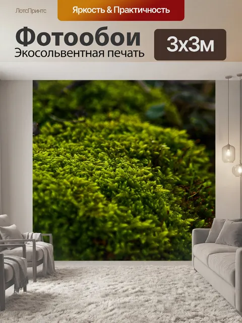 Фотообои Мусс