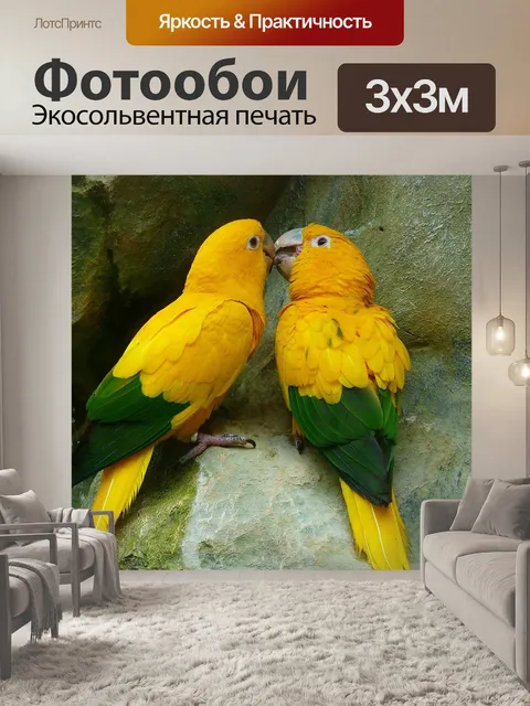 Фотообои Золотые попугаи