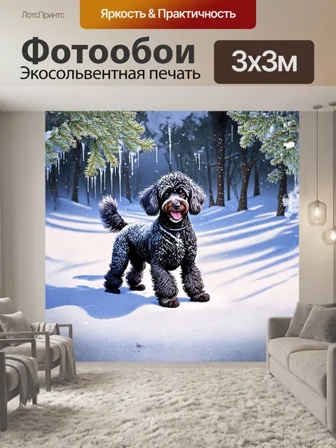 Фотообои черный пудель, играющий на снежном покрове, его волосы покрыты снежинками, сверкание создает магическую…