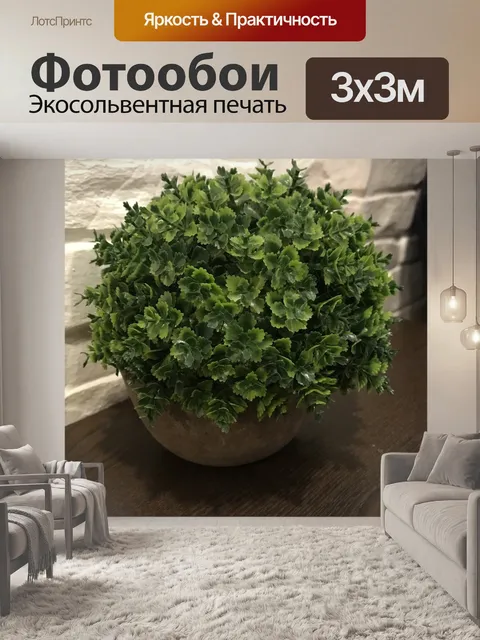Фотообои Комнатные растения
