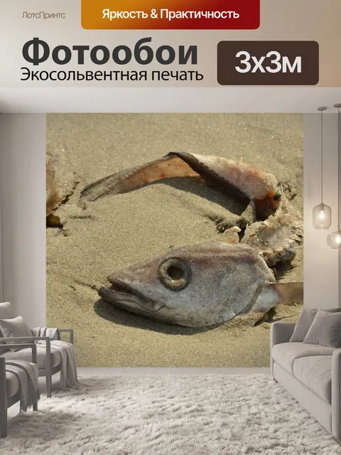 Фотообои Рыба