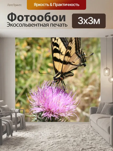 Фотообои Ласточкин хвост