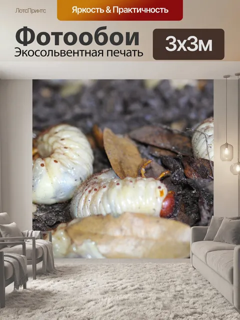 Фотообои Grub Worms