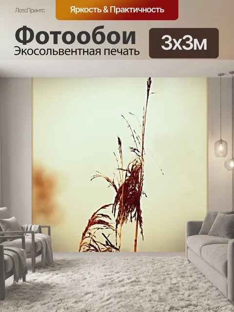 Фотообои Трава
