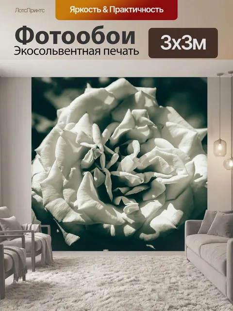 Фотообои Цветок