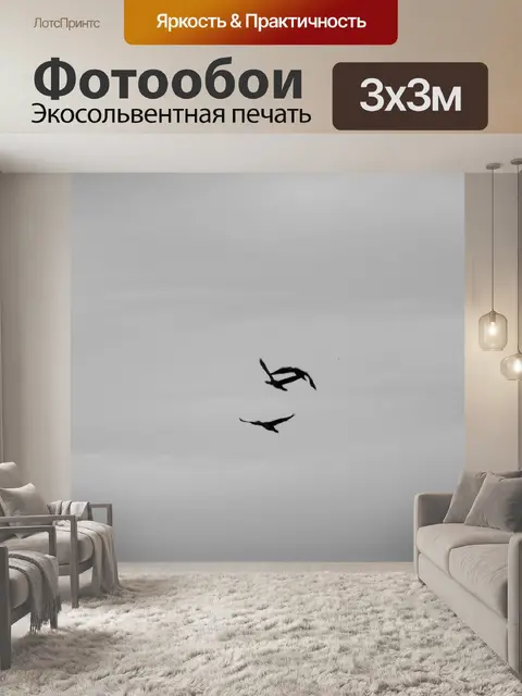 Фотообои Птицы в небе