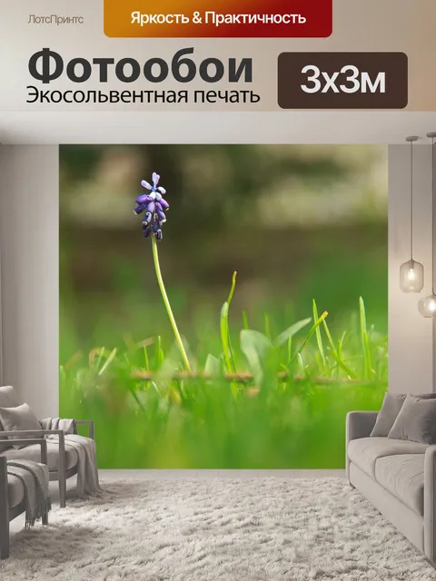 Фотообои Фиолетовый
