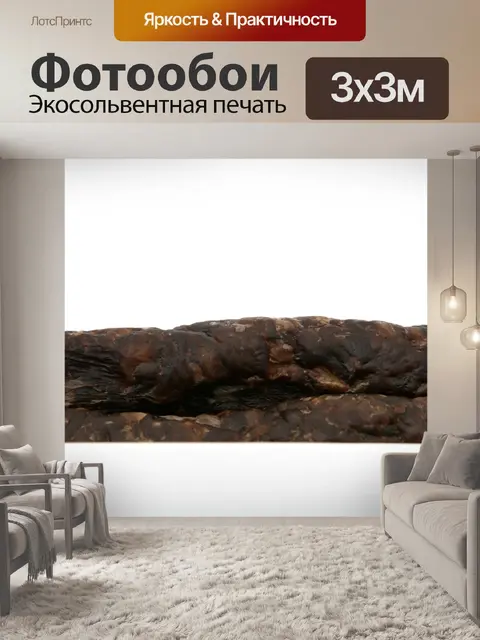 Фотообои Африканец