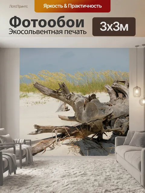 Фотообои Driftwood на пляже