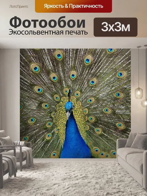 Фотообои Павлин