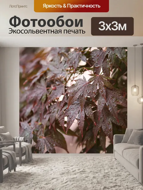 Фотообои Не