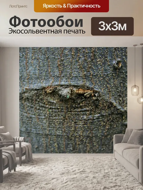 Фотообои глаз на стволе дерева