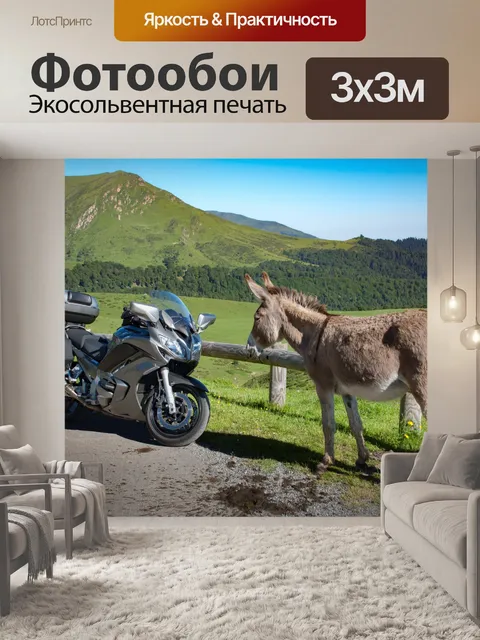 Фотообои Пейзаж, осел, мотоцикл