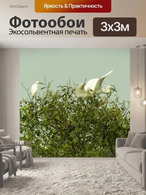 Фотообои Аисты и улитки