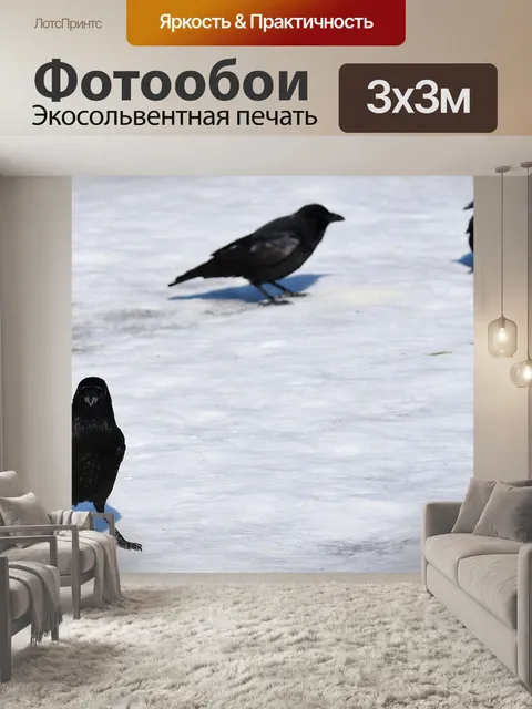 Фотообои Ворона