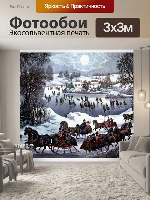 Фотообои Катание в Центральном парке