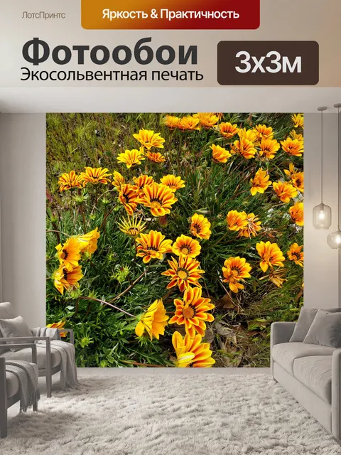Фотообои Африканские тигрицы