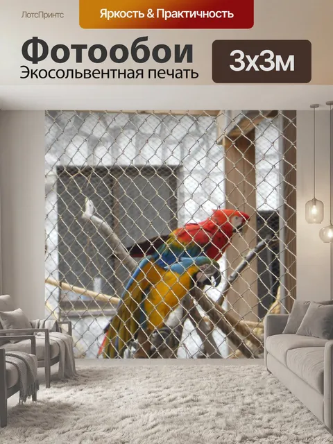 Фотообои Попугай
