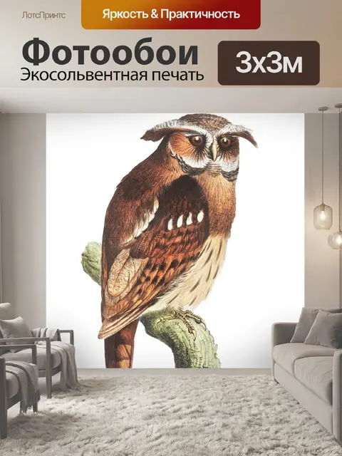 Фотообои Винтажная сова