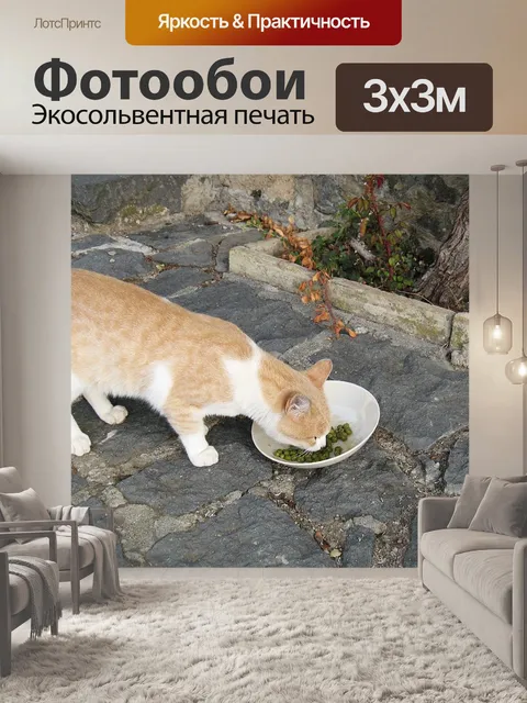 Фотообои Кошка
