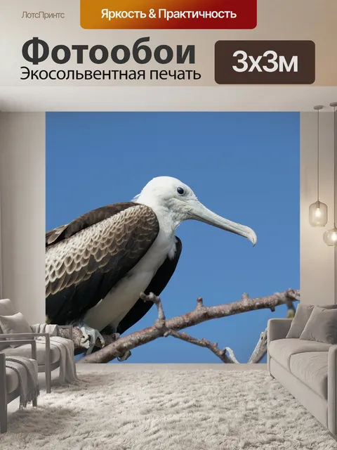 Фотообои Фрегат