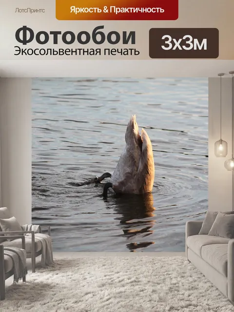 Фотообои Лебедь