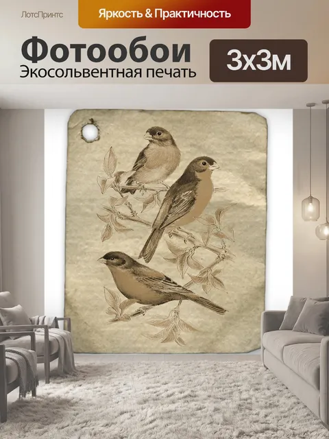 Фотообои Птицы
