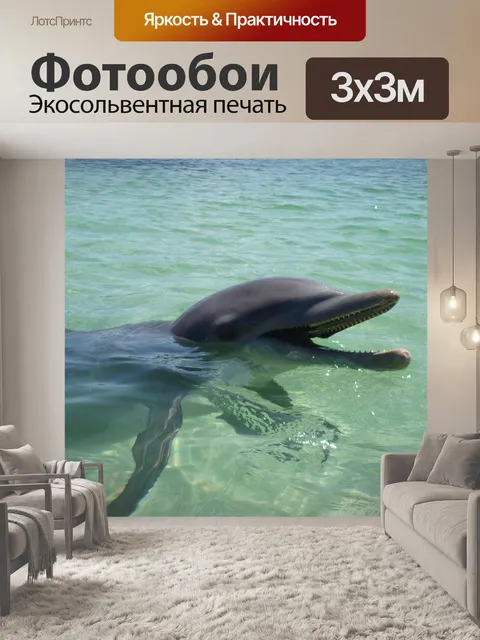 Фотообои Дельфин