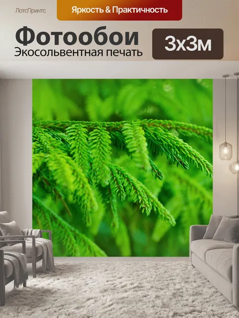 Фотообои Зеленые веточки