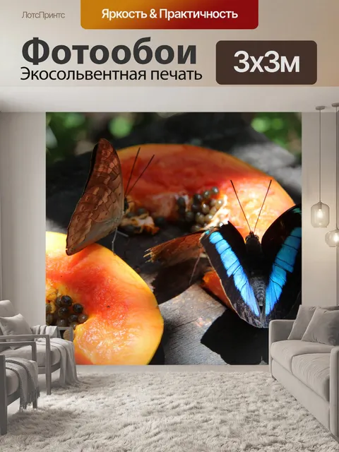 Фотообои Святилище бабочек Коста-Рика