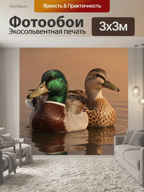 Фотообои Две утки на закатной воде