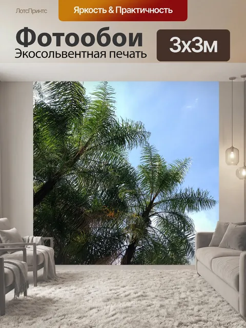 Фотообои Кокосовые пальмы
