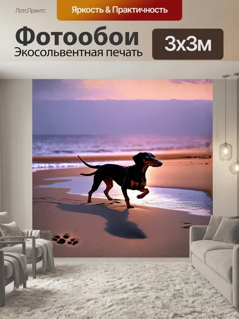 Фотообои на фоне сумеречного неба черная такса бежит по песчаному пляжу, оставляя следы на мокром песке