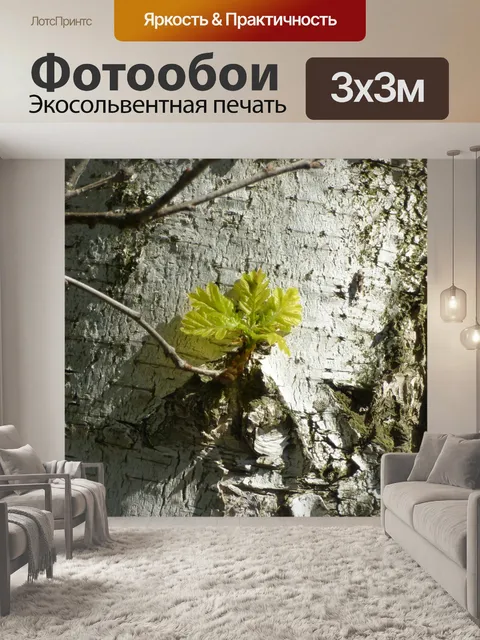 Фотообои Береза