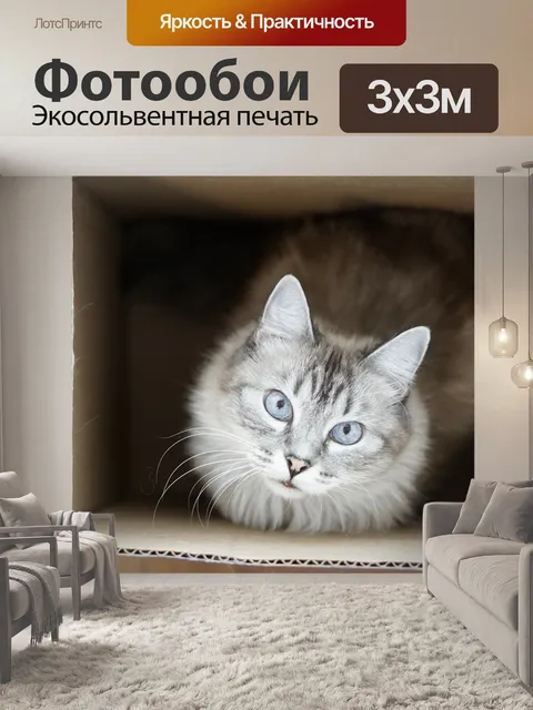 Фотообои Кошка